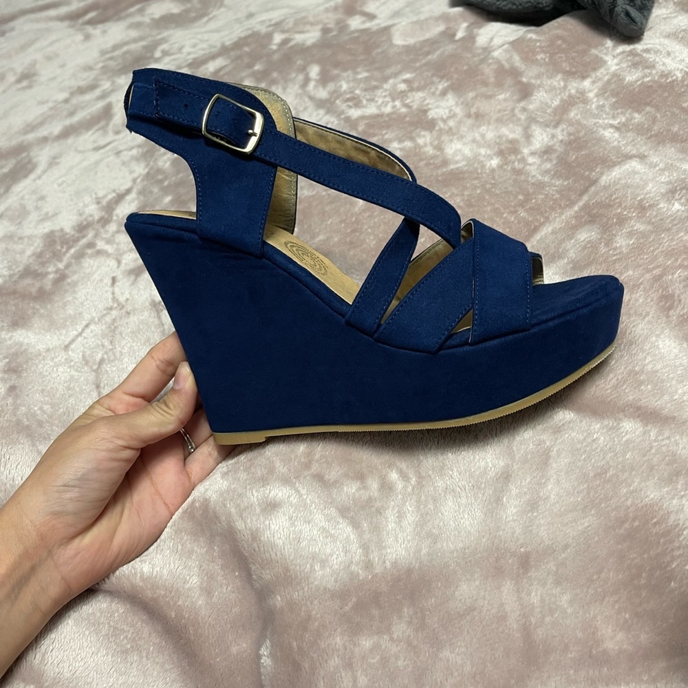 Blue Wedges